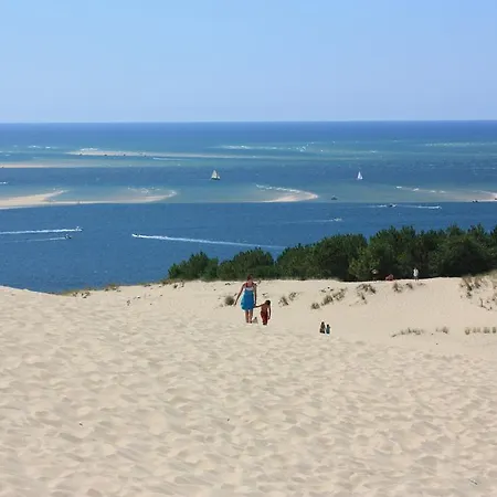 Le Chai O Soleils * Mortagne-sur-Gironde